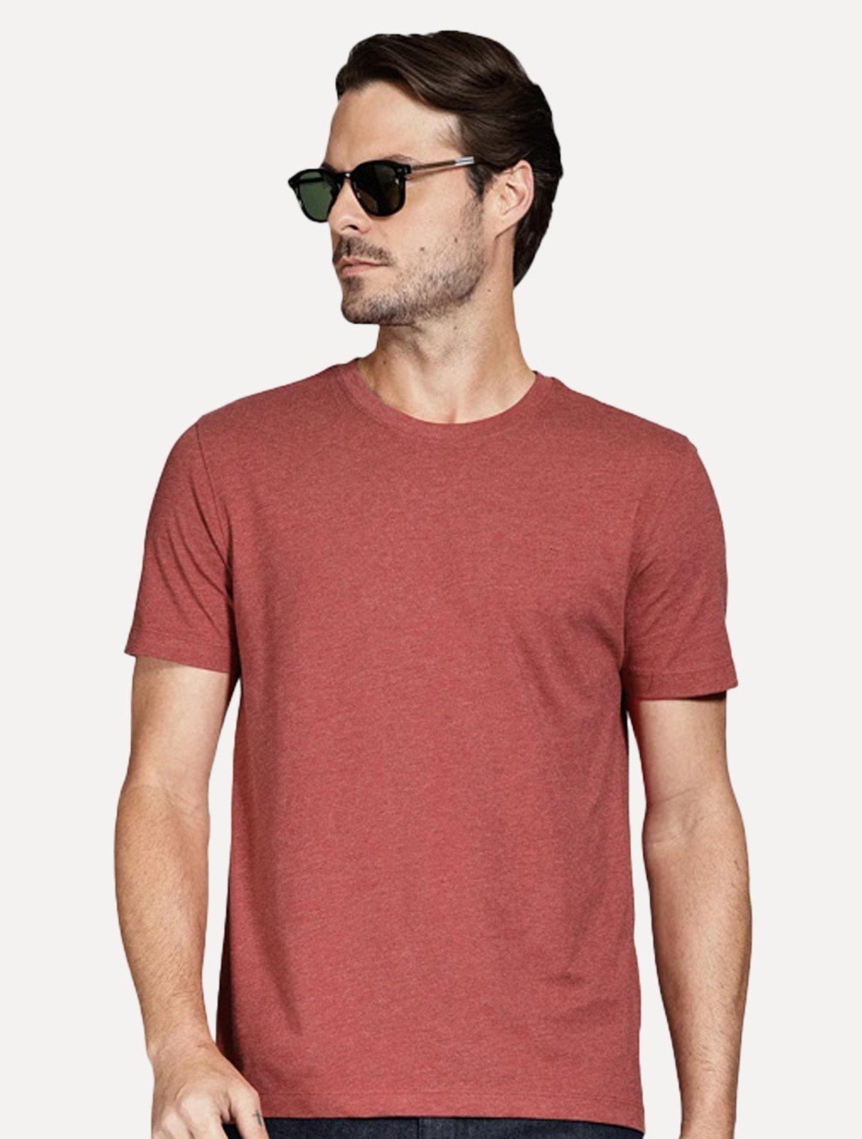 Camiseta Aramis Masculina Basic Lisa Mono Icon Vermelho Mescla