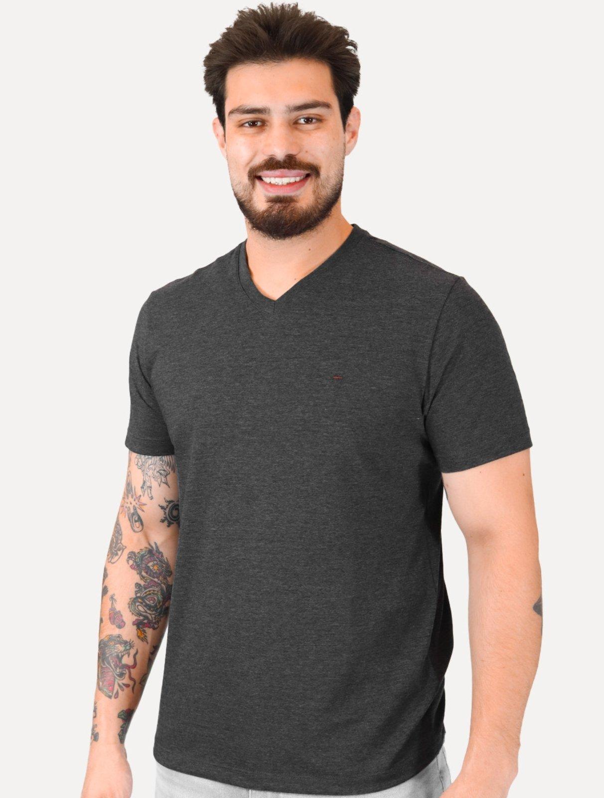 Camiseta Aramis Masculina Basic V-Neck Dark Logo Grafite Mescla