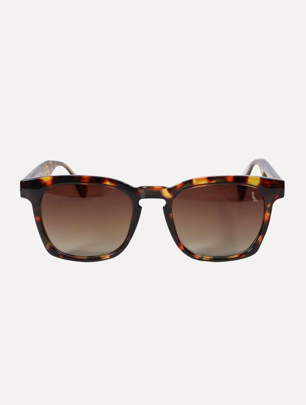 Óculos de Sol Reserva Masculino Pointed Plate Square Tortoise
