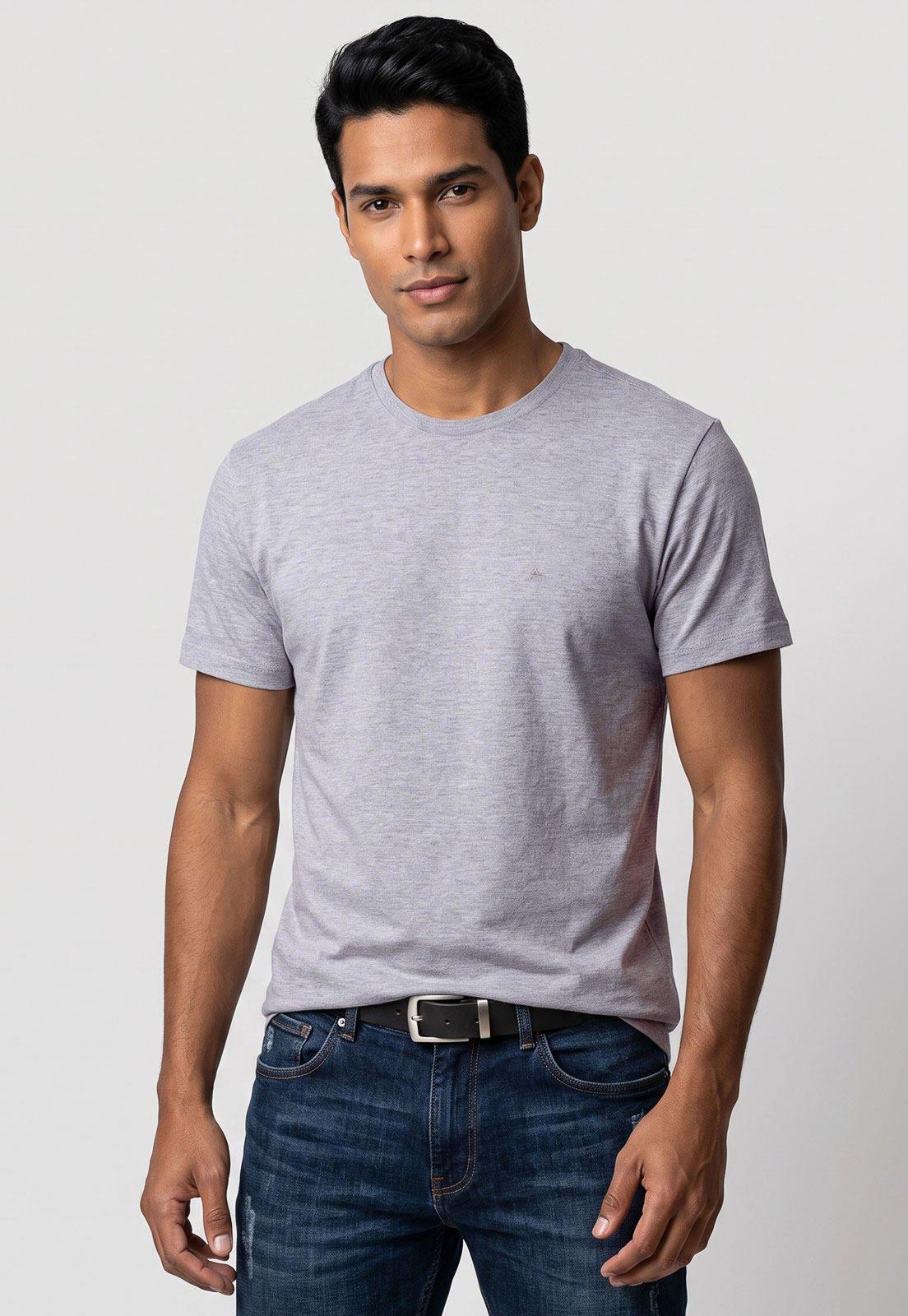 Camiseta Masculina Aramis Clássica Cinza