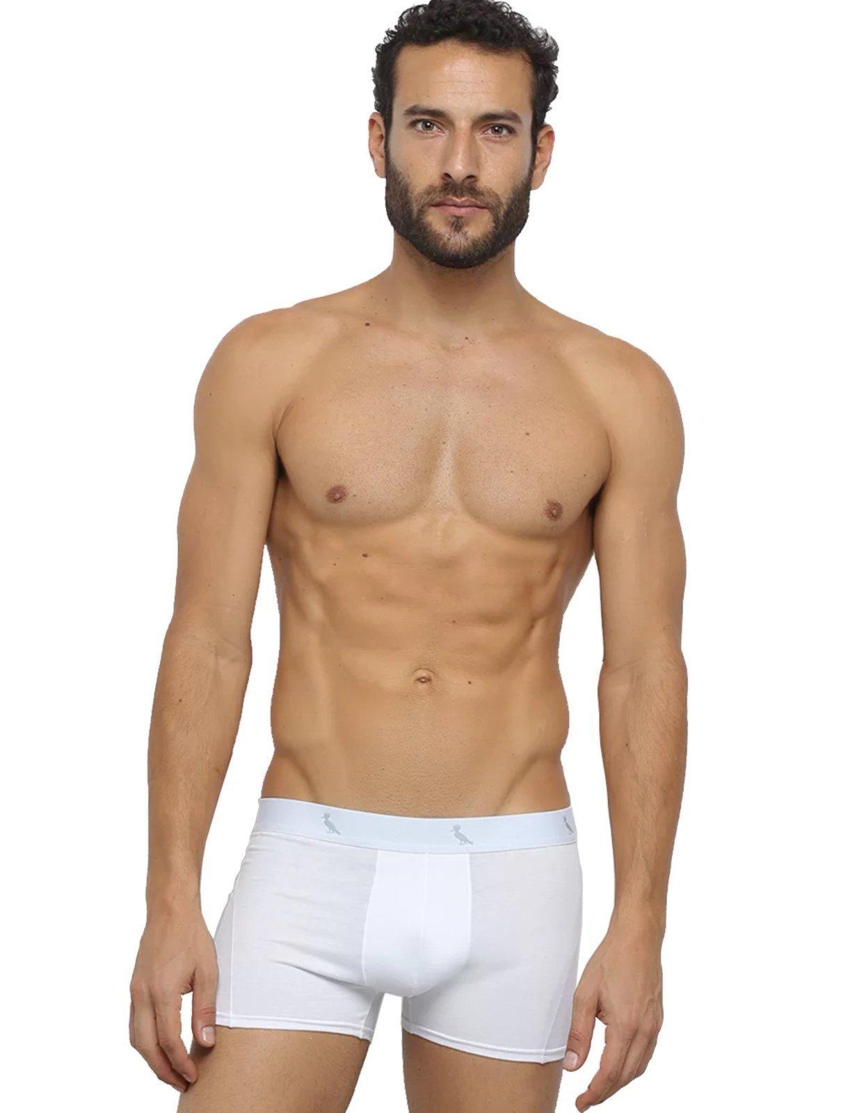 Cueca Reserva Masculina Boxer Grey Woodpecker Cotton Branca